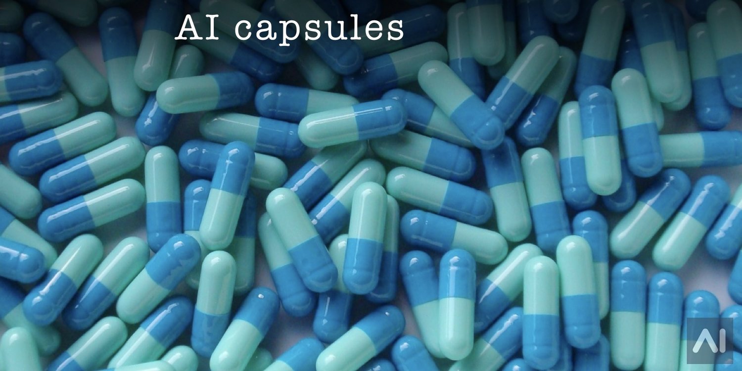 Capsule Networks Explained Iaidl